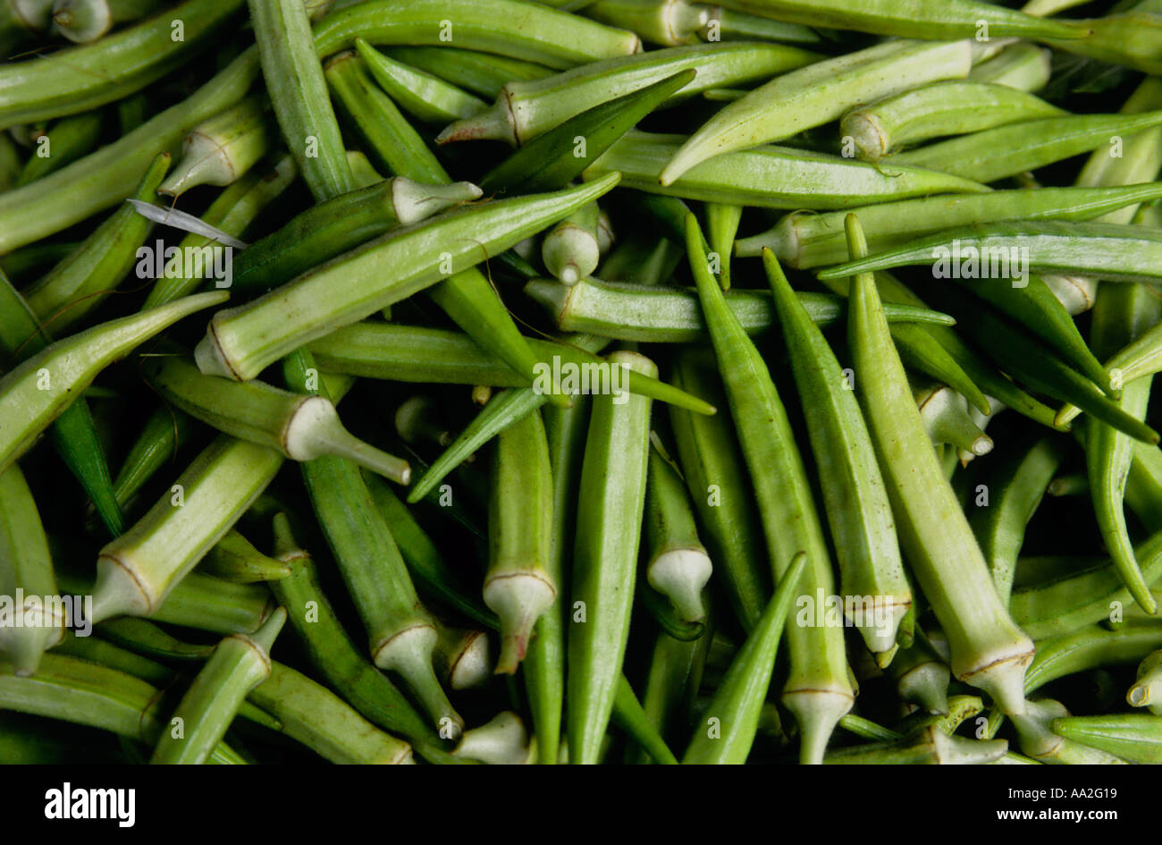 Okra in Mauritian market Stock Photo Alamy