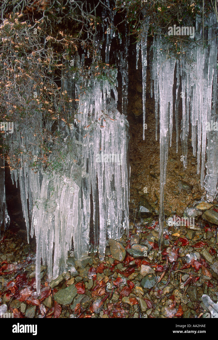 Ice icicles Stock Photo