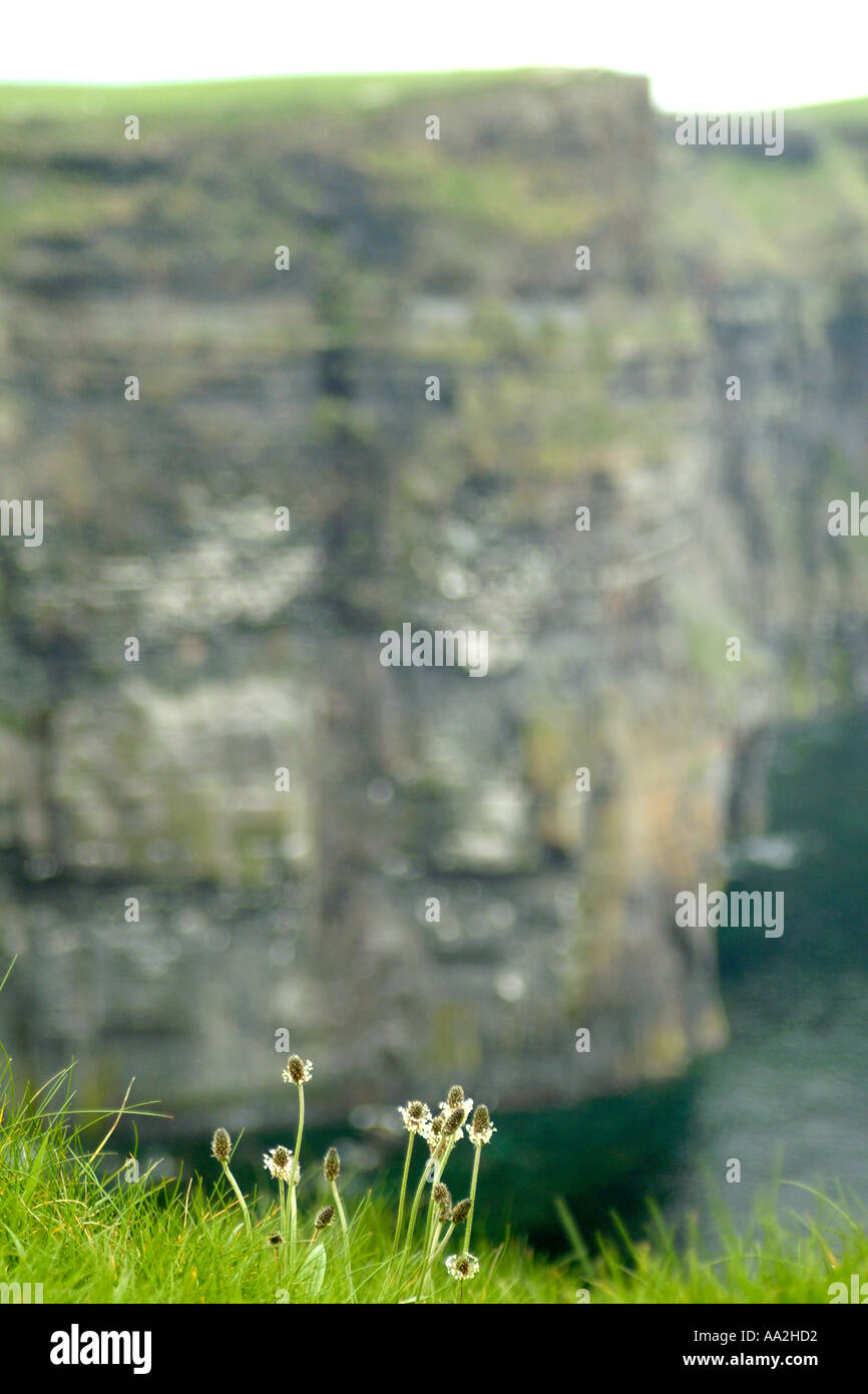 Cliffs of Moher (also known as the the Cliffs of Mohair) in County Clare, west Ireland. Stock Photo