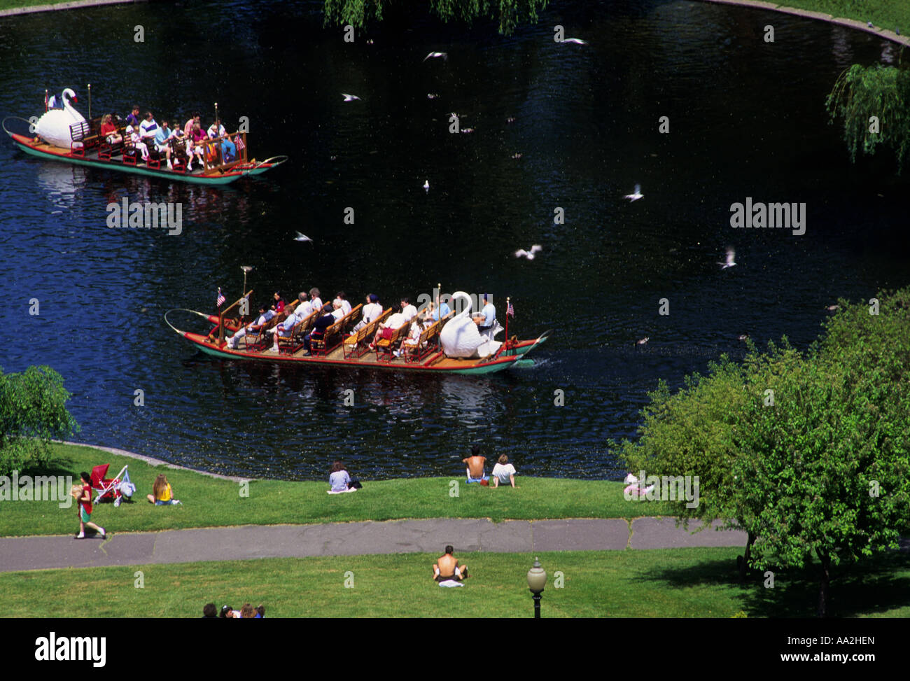 Boston Massachusetts Public Gardens Swan Boats Stock Photo