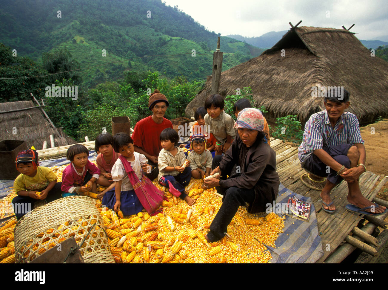 Ahka hill tribe woman hi-res stock photography and images - Alamy