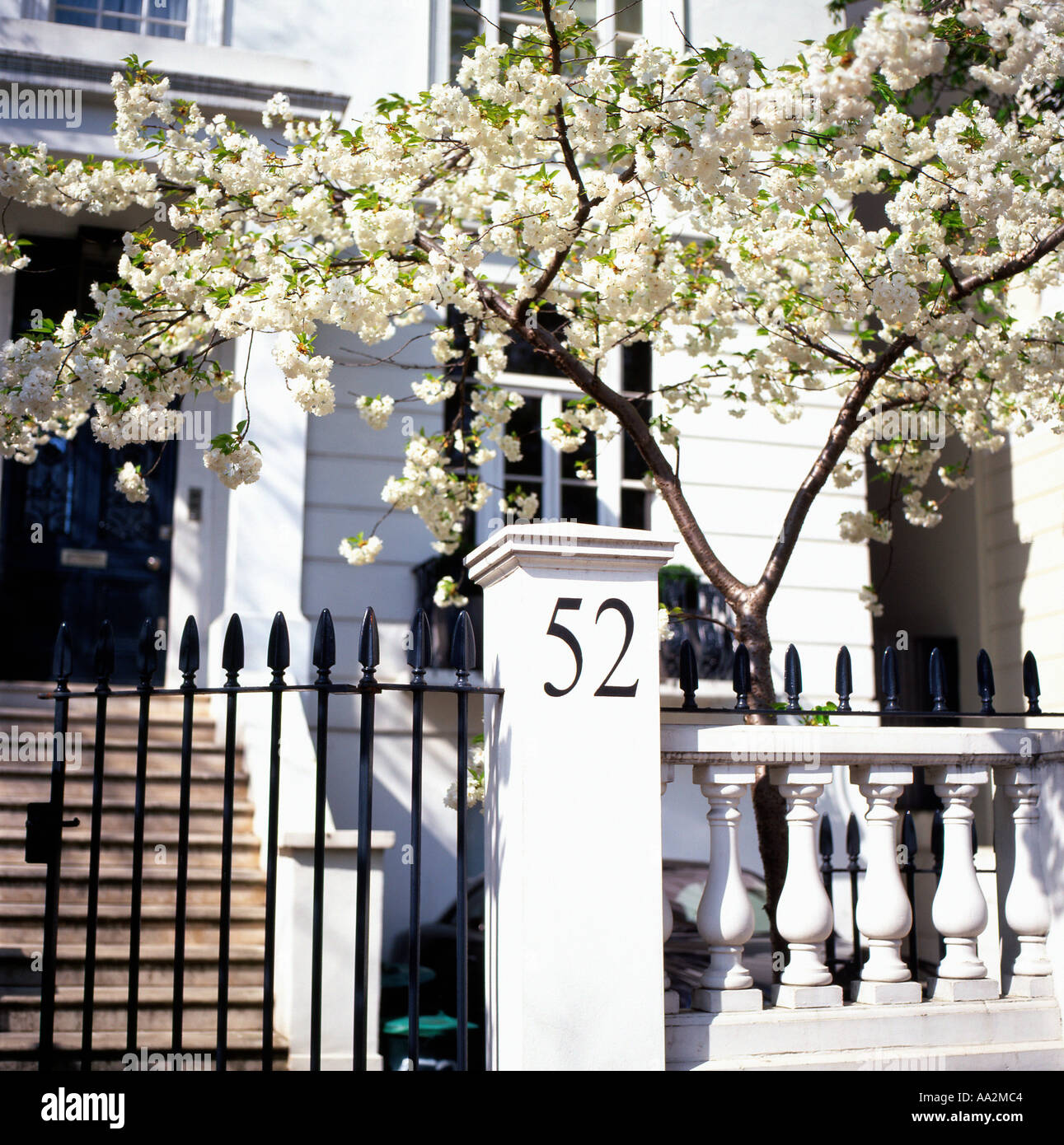 A flowering cherry tree in the garden of a house near Portobello Road