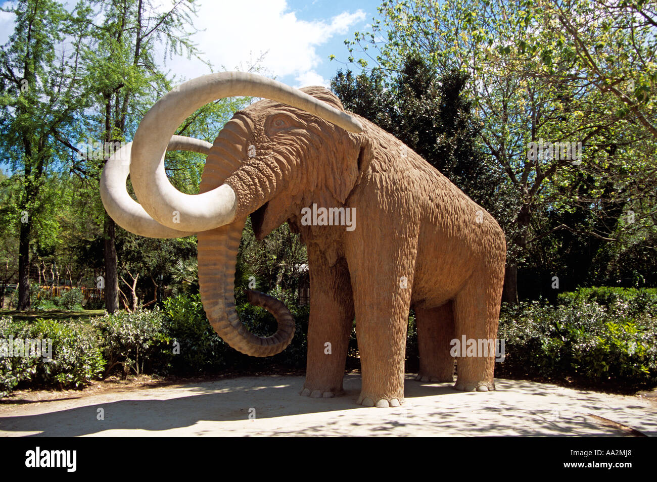Mamut, Mammuthus Primigenius, Parc de la Ciutadella, Barcelona, Spain Stock Photo