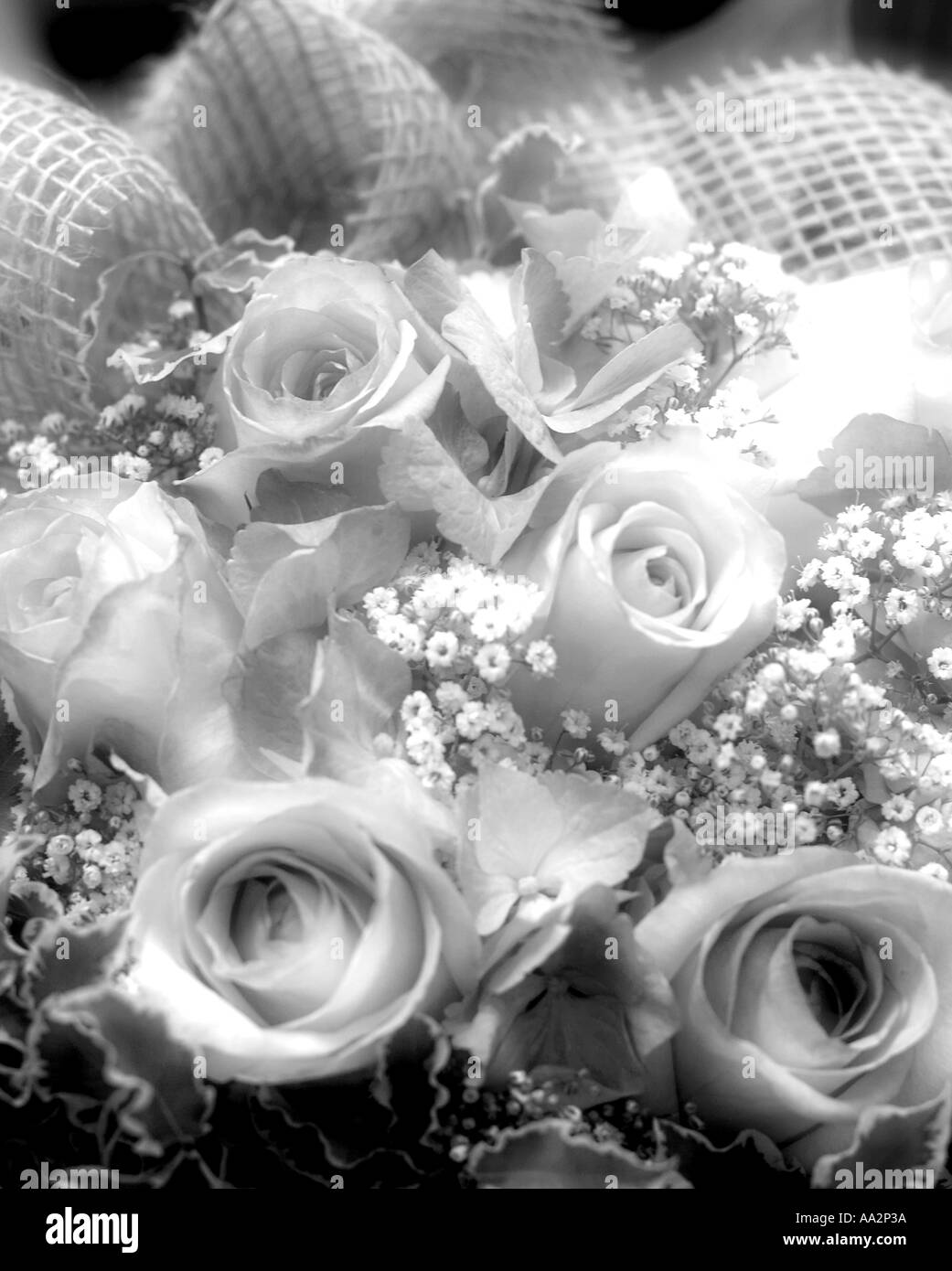 White rose wedding bouquet Black and White Stock Photos & Images - Alamy