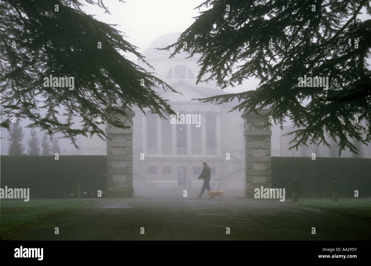 Chiswick House in January fog framed by cedar trees, man walking in gateway with brown dog on a lead and black and white dog behind, Chiswick, London Stock Photo