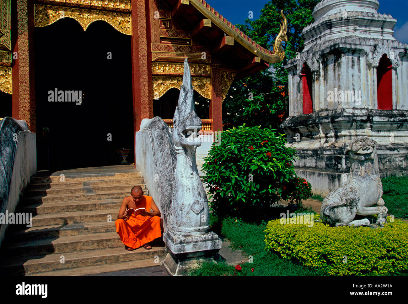 Thai monk, Buddhist monk, reading, Wihaan, Viharn, Wat Phra Singh, Chiang Mai, Chiang Mai Province, Thailand, Southeast Asia, Asia Stock Photo