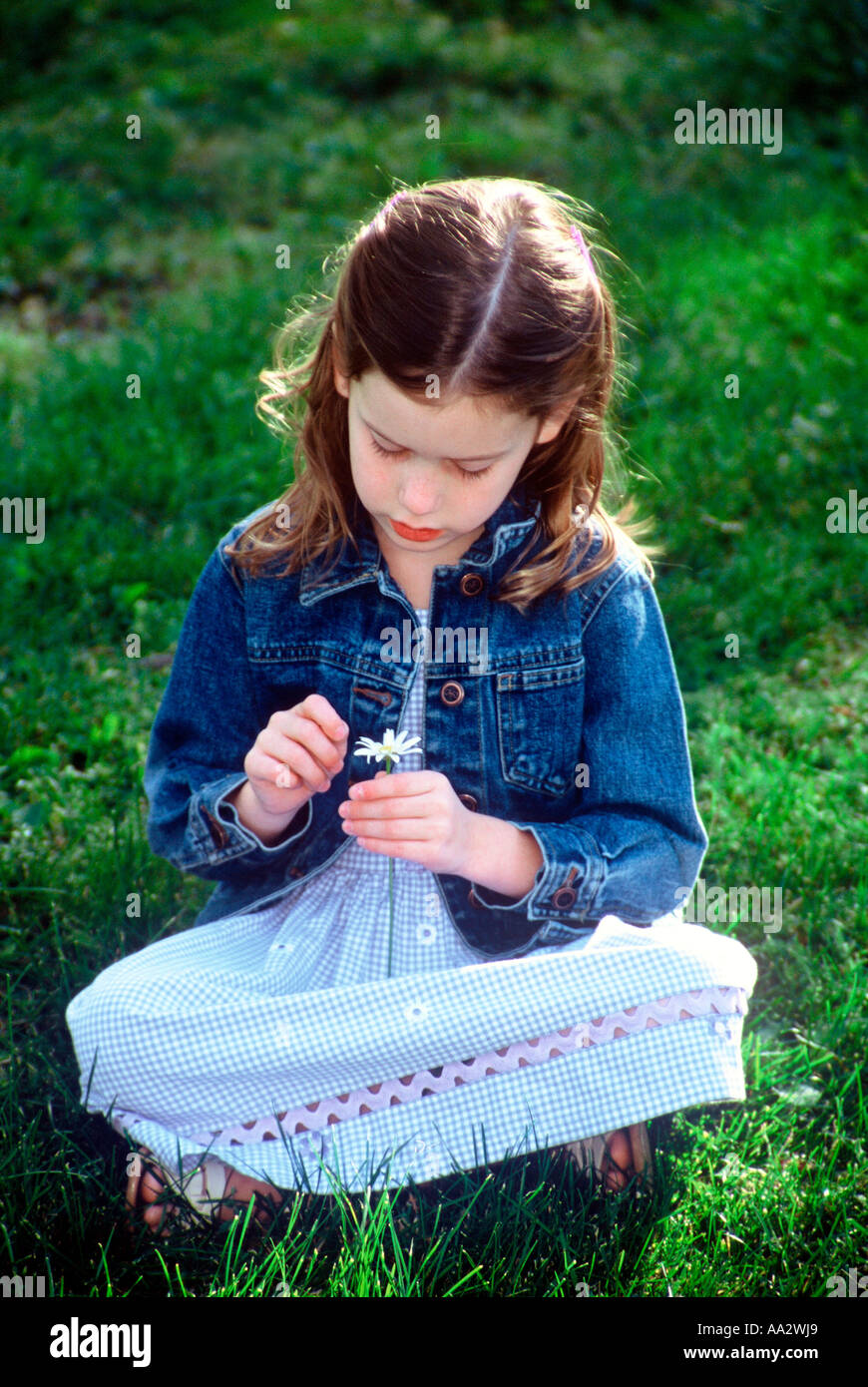 A little girl sitting with a daisy flower Stock Photo