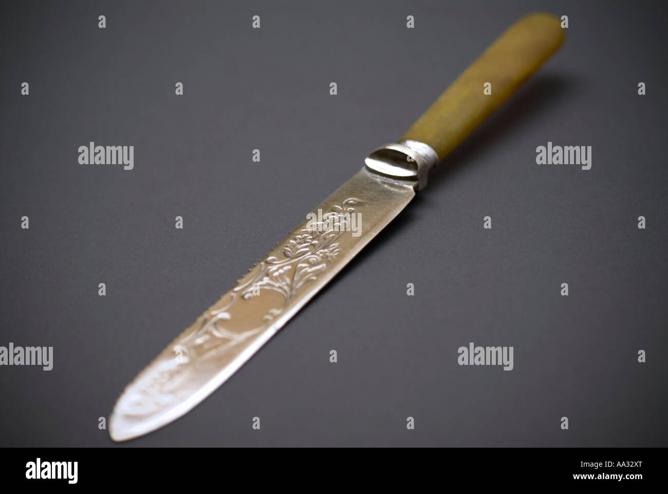 Fancy cake shop knife