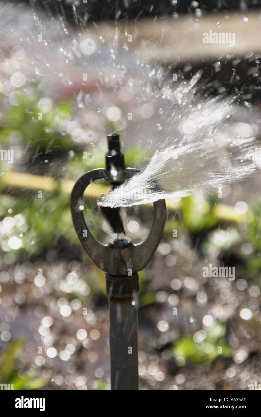 water sprinkler in public park flower bed UK Stock Photo Alamy