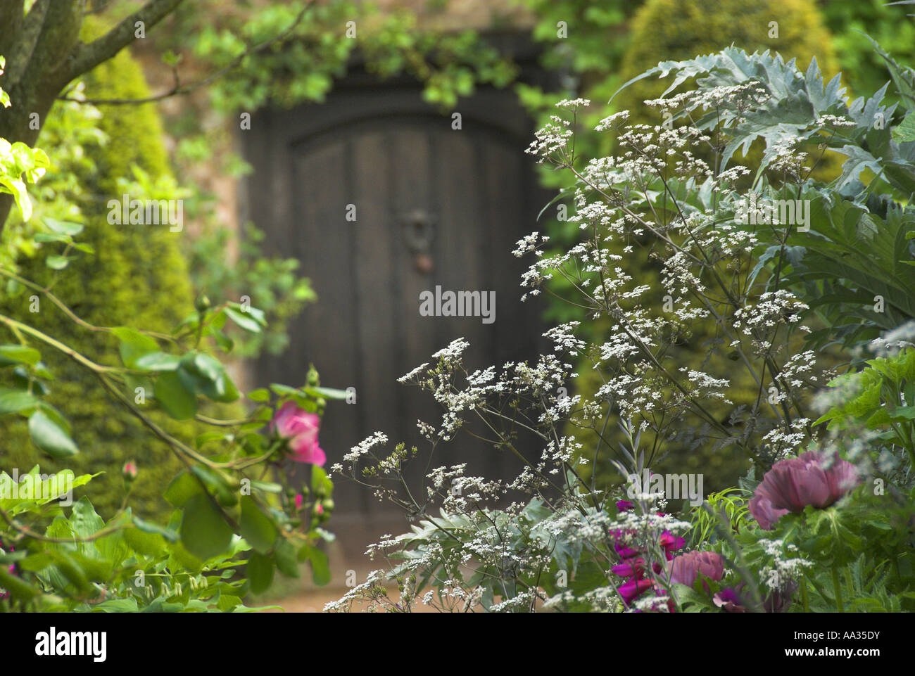 Country garden border hi-res stock photography and images - Alamy