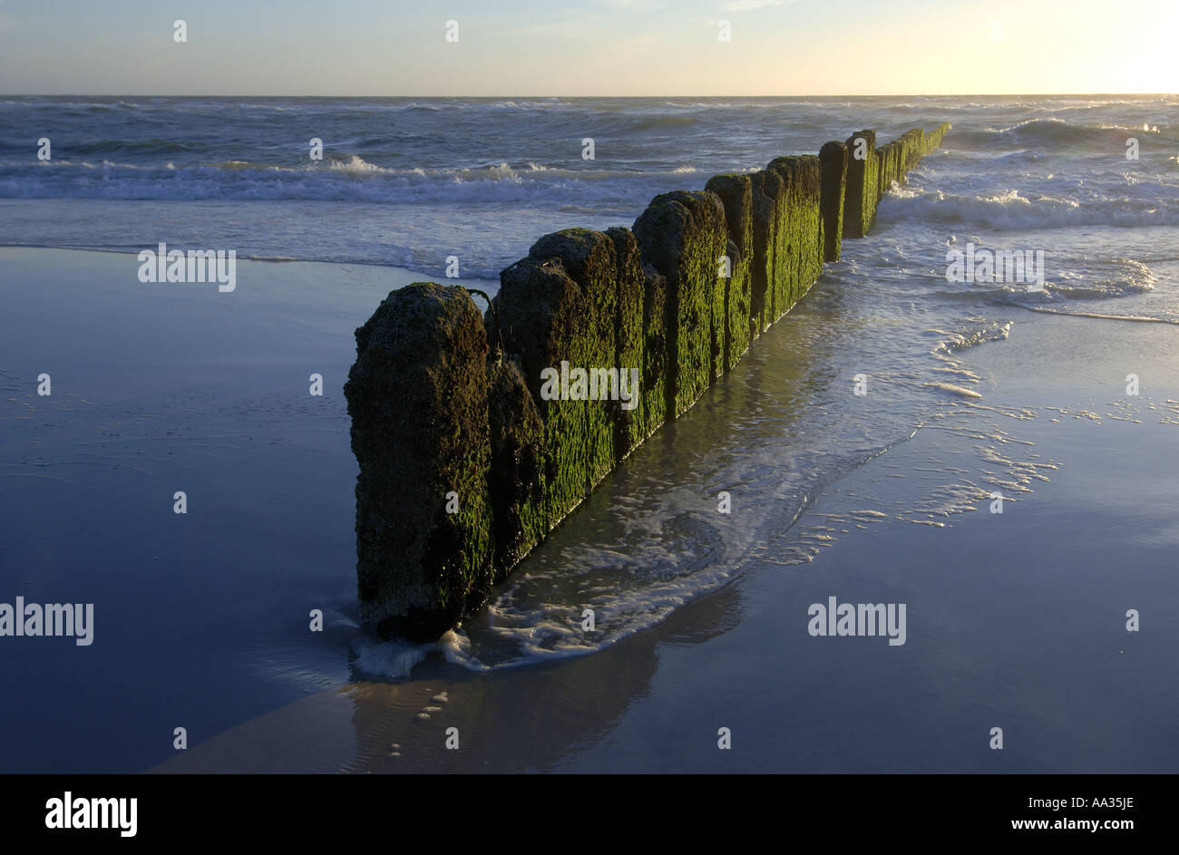 Sylt, old beach protection near Kampen Stock Photo