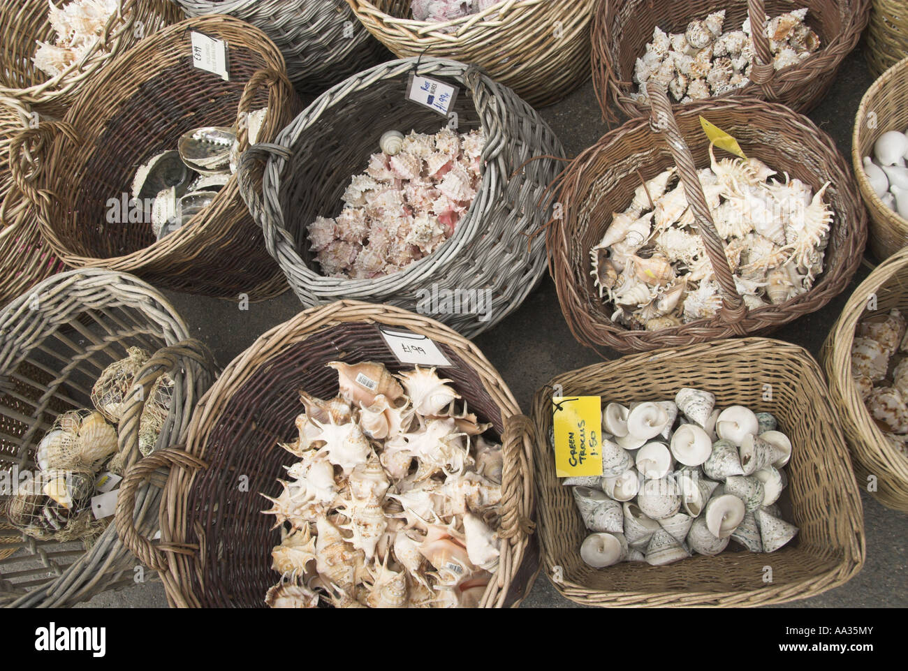 Sea shells for sale at coastal resort UK Stock Photo