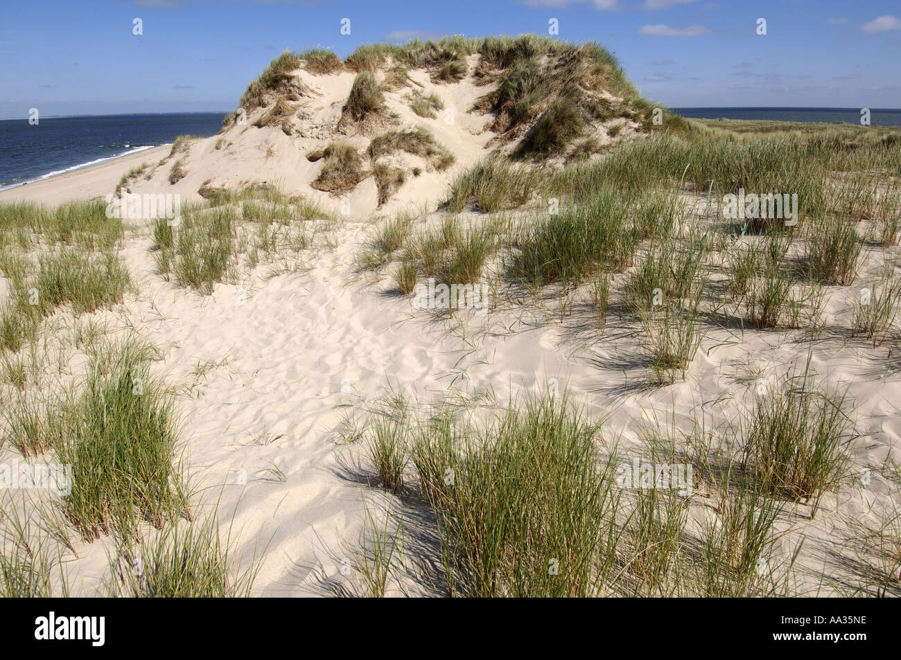 Sylt, protected dunes protection north of List Stock Photo