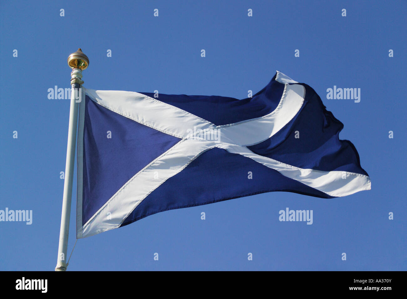 Scottish Flag Stock Photo