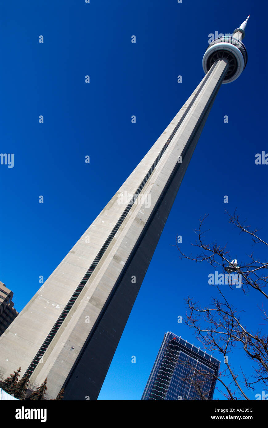 The CN Tower Toronto Canada Stock Photo - Alamy