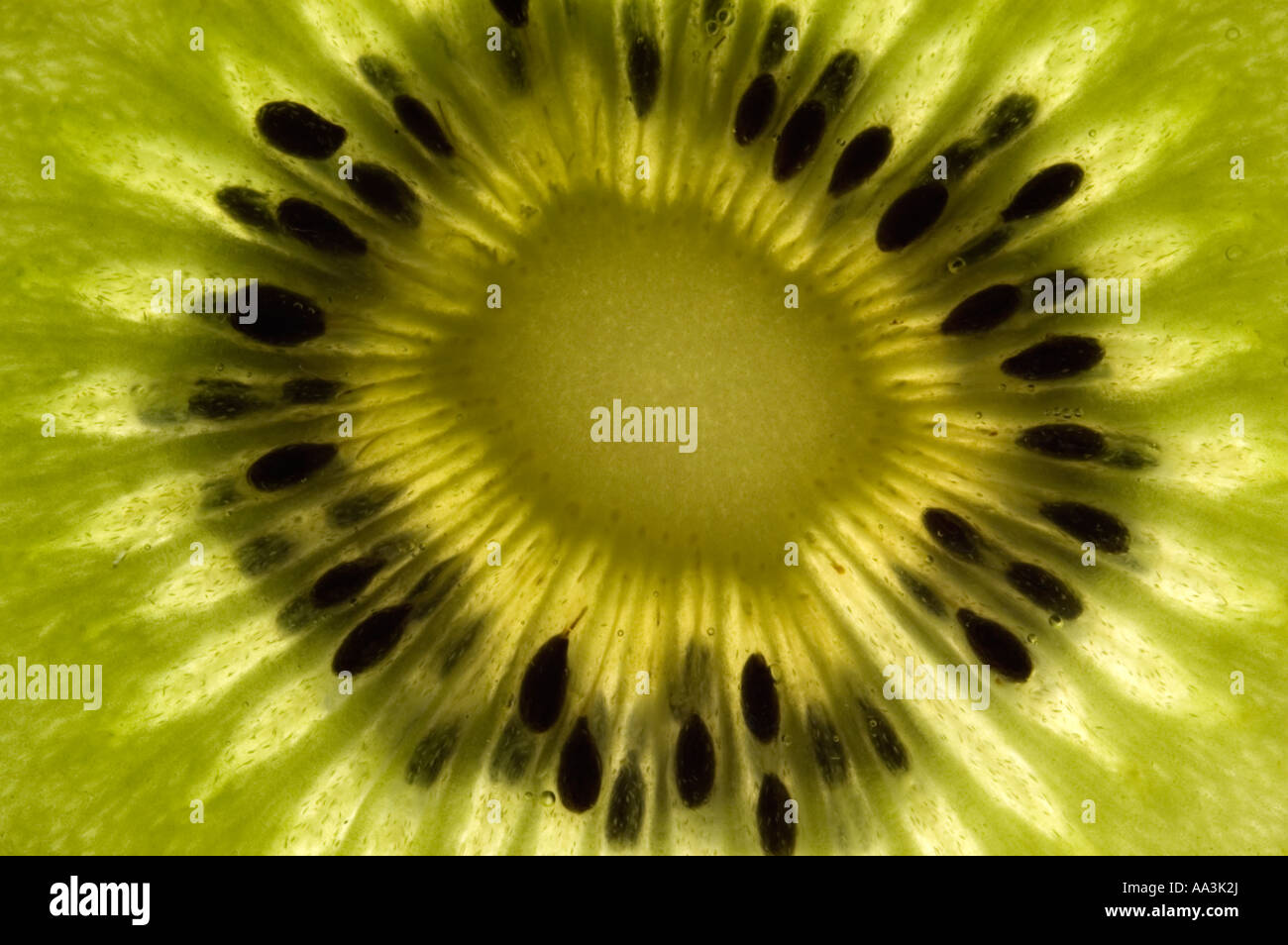 Kiwi Fruit Close Up Stock Photo - Alamy