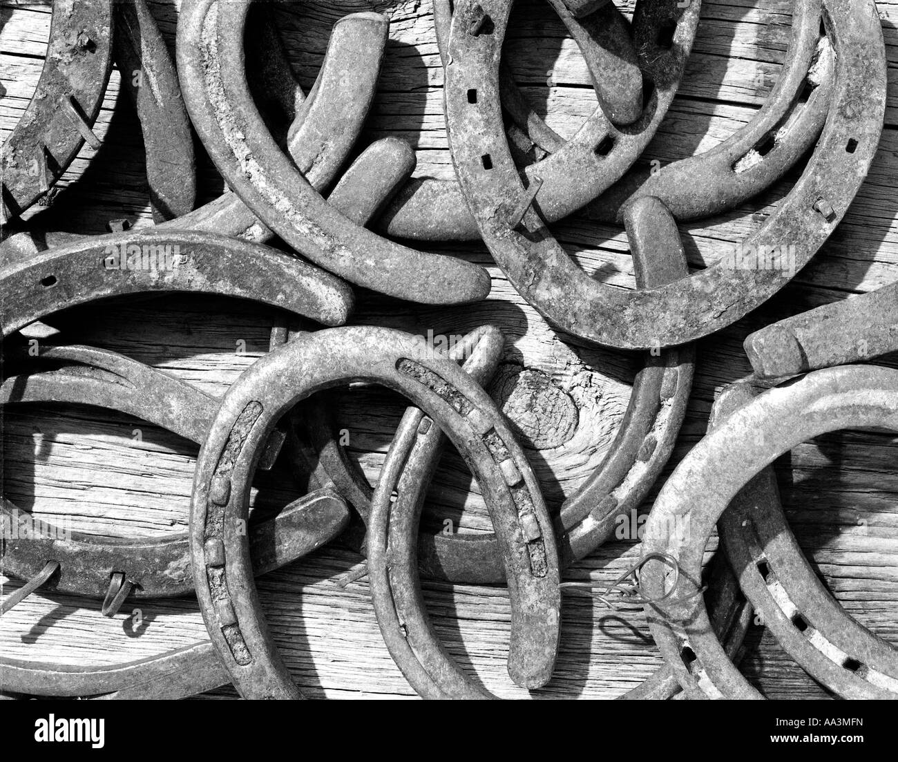 Old horseshoes piled onto an old wooden barn plank Stock Photo