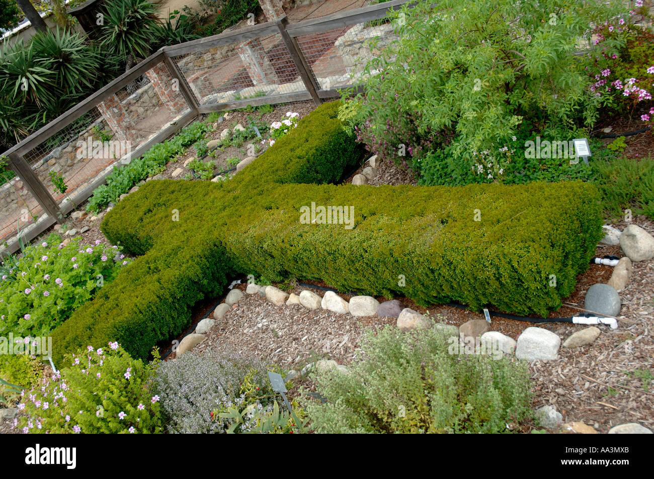 Plants forming shape of a cross Mission San Juan Capistrano Gardens CALIFORNIA Stock Photo Alamy
