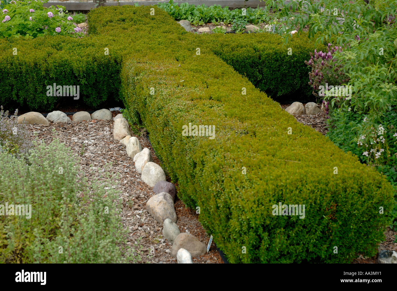 Plants forming shape of a cross Mission San Juan Capistrano Gardens CALIFORNIA Stock Photo Alamy
