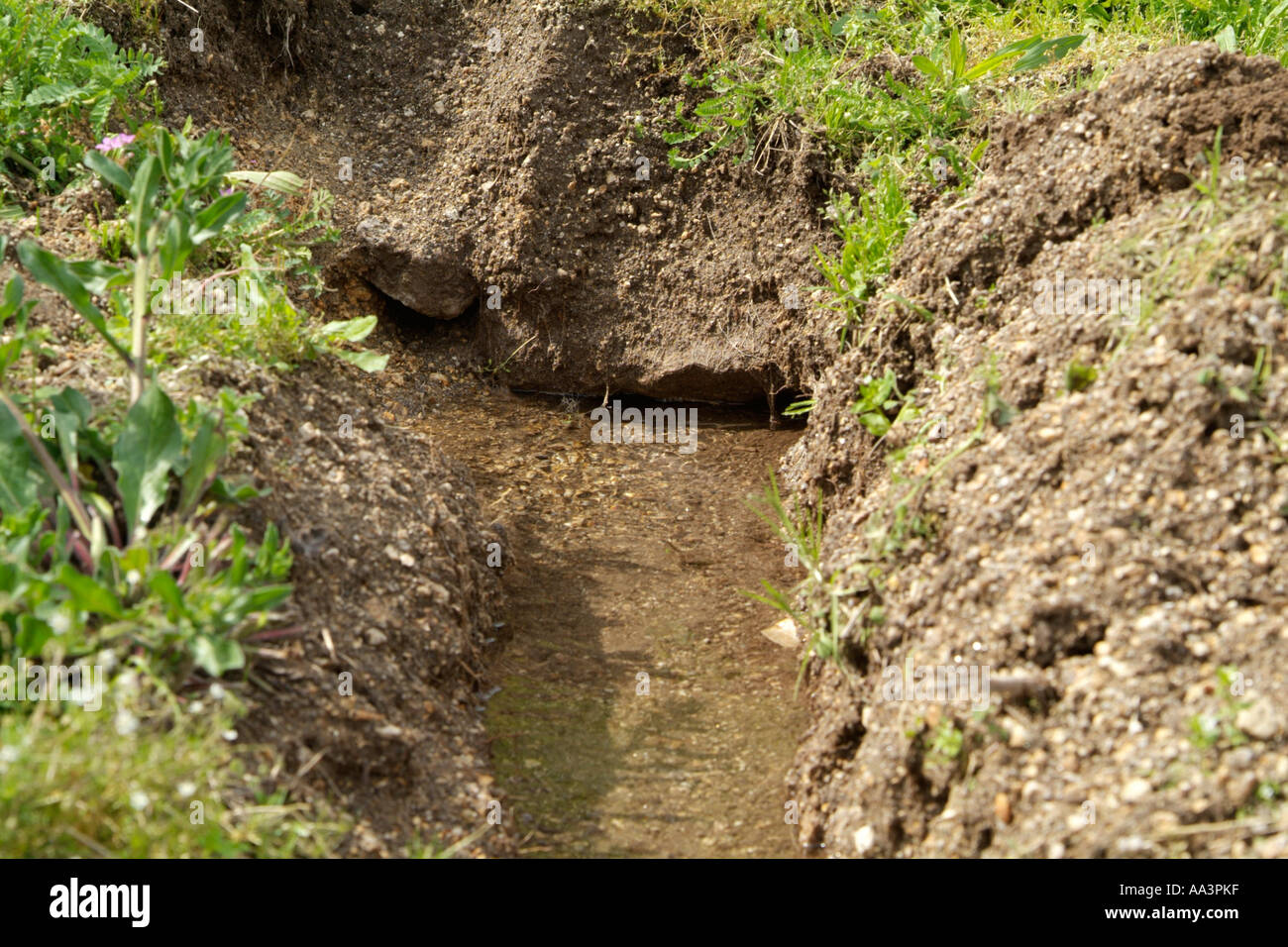 irrigation canal in a agricultural field in Portugal Stock Photo