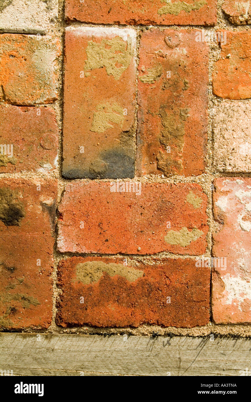 Recycled bricks laid in a basketweave pattern in coarse sand as paving