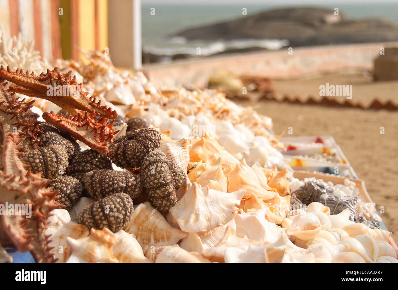 Bright seashells sold as souvenirs in Kanyakumari, Tamil Nadu,  South India. Stock Photo