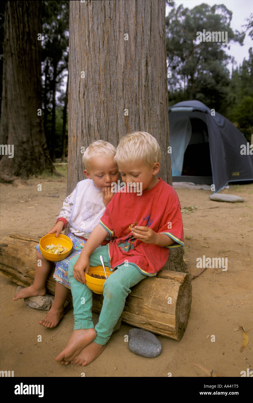 Little boys, two and four years old, are sitting on a log for eating