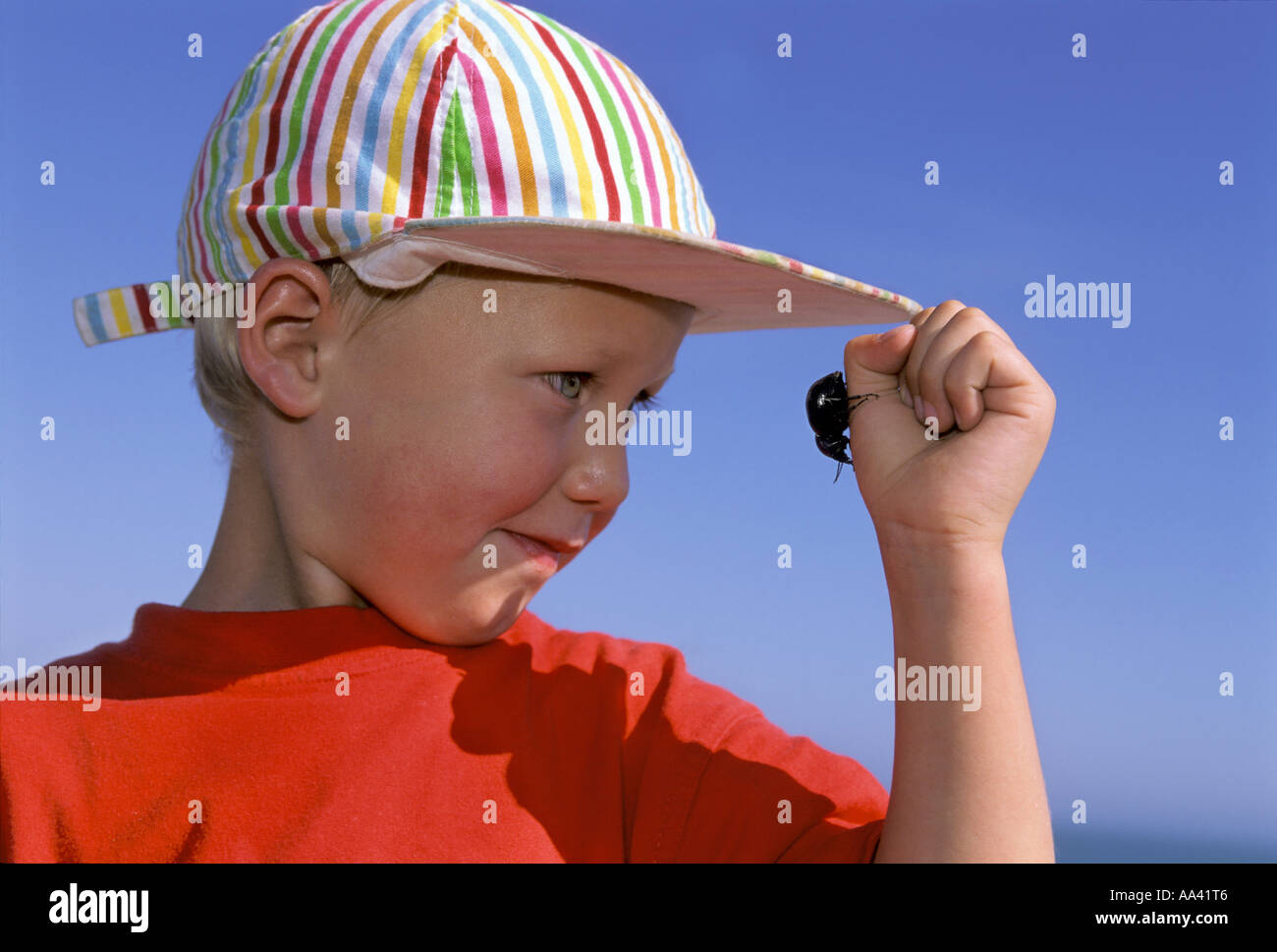 Little boy four years old looking at a black beetle on his hand Stock Photo