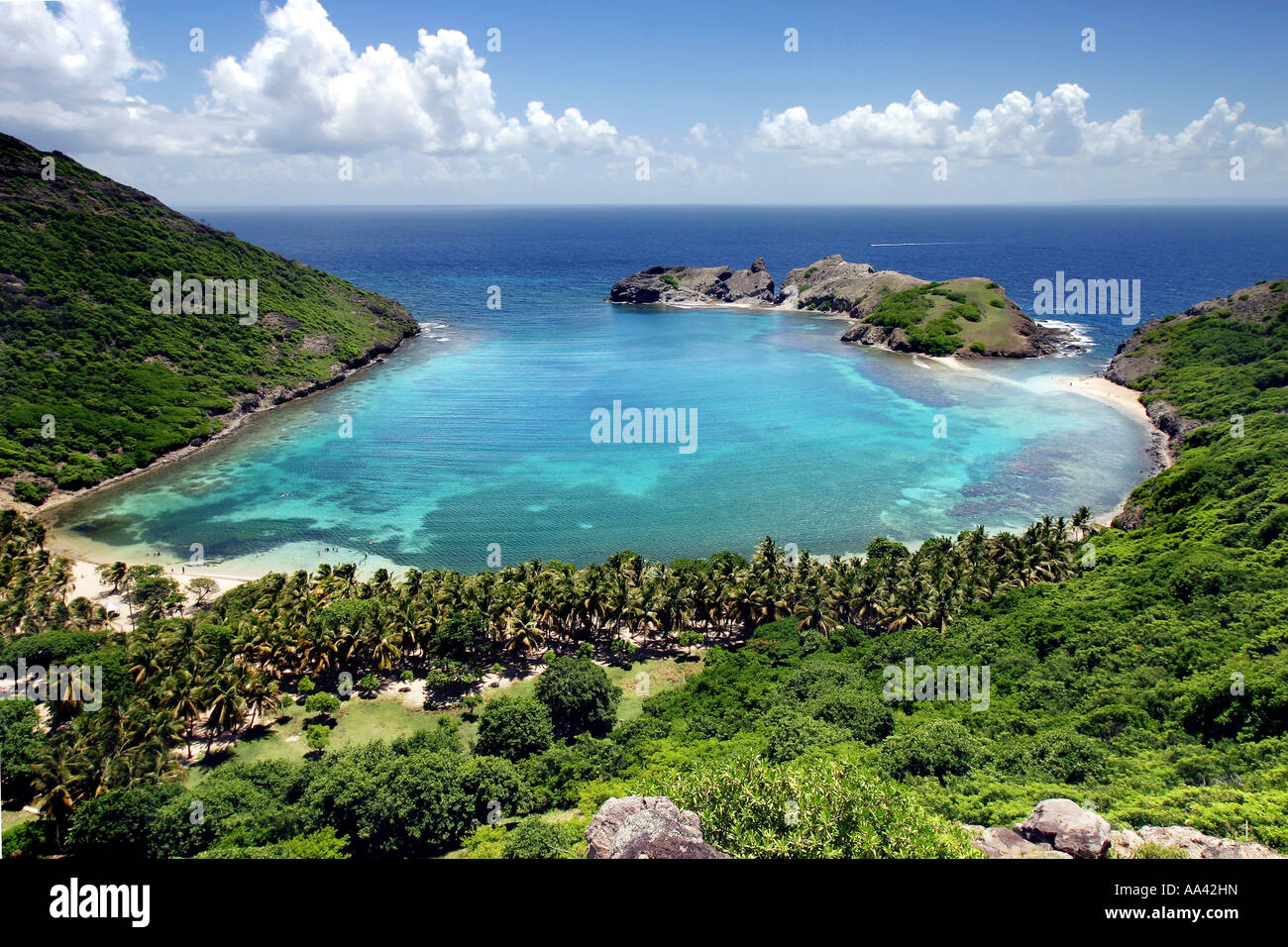 A beach with white sand surrounding the waters of the Atlantic Ocean with an exotic, tropical vegetation in Guadeloupe Stock Photo