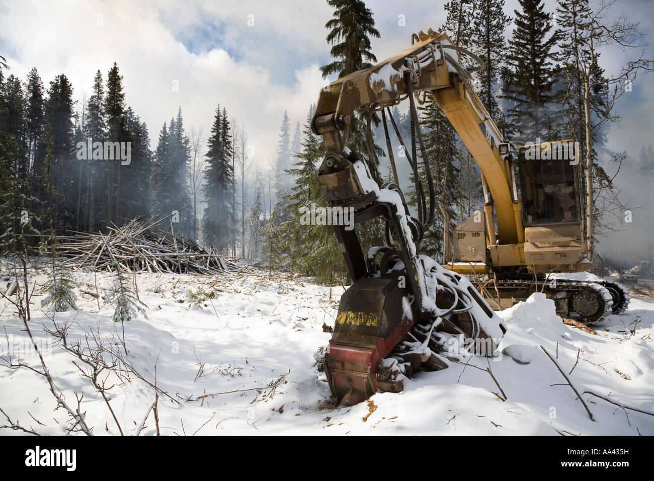 Logging machinery at pine beetle kill logging site Houston British ...