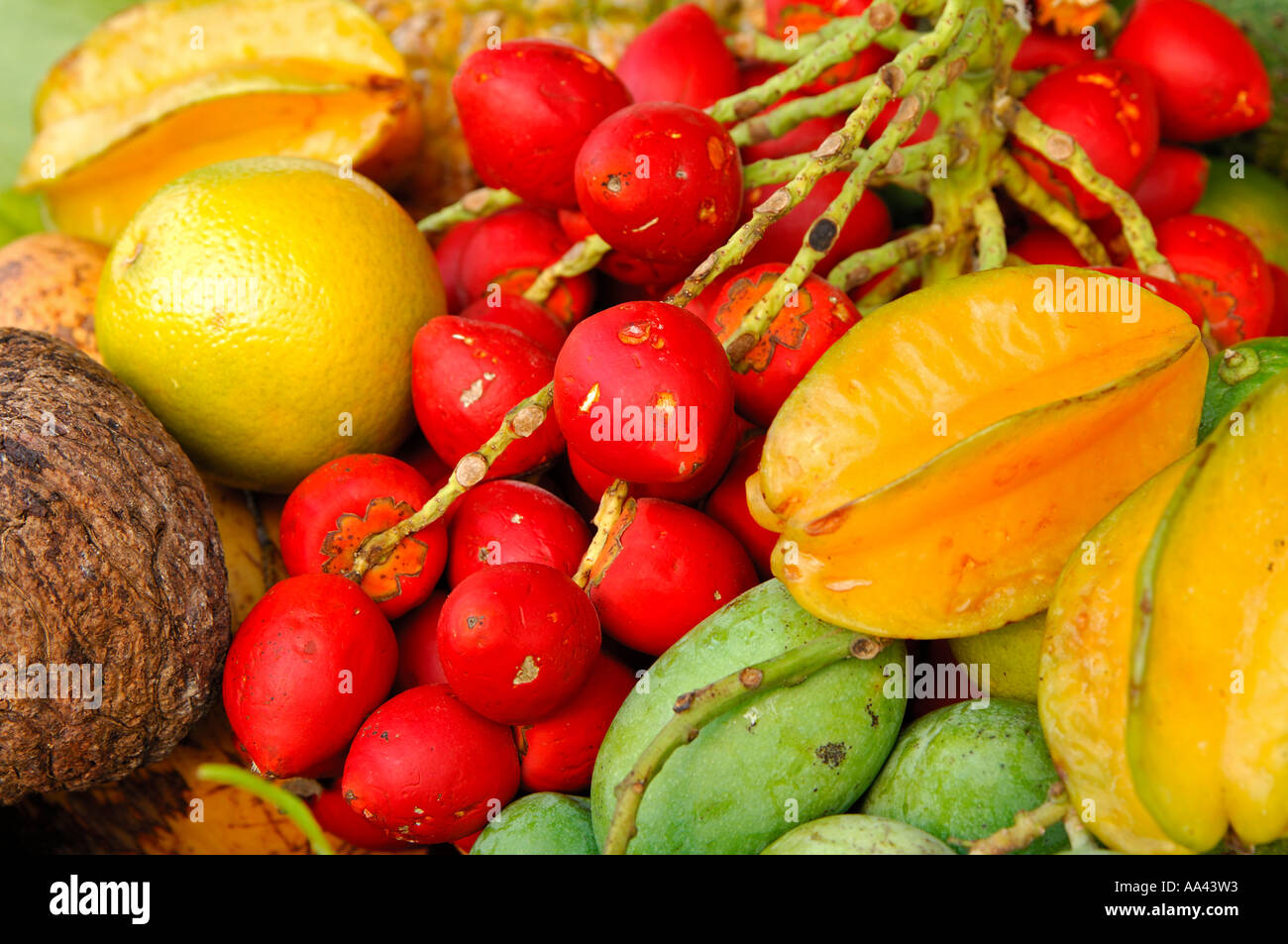 Tropical fruits Stock Photo