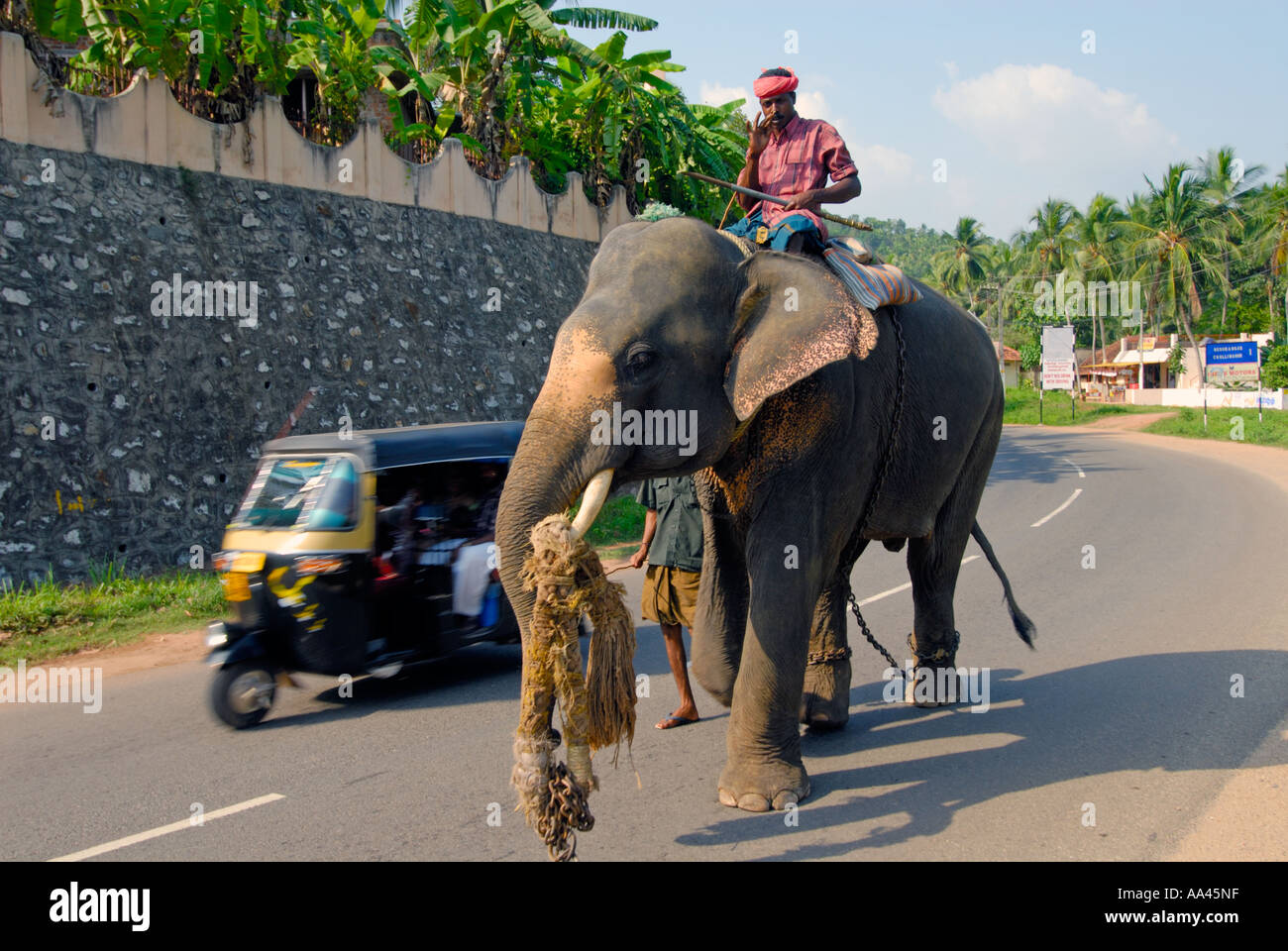 Highway road kerala india hi-res stock photography and images - Alamy