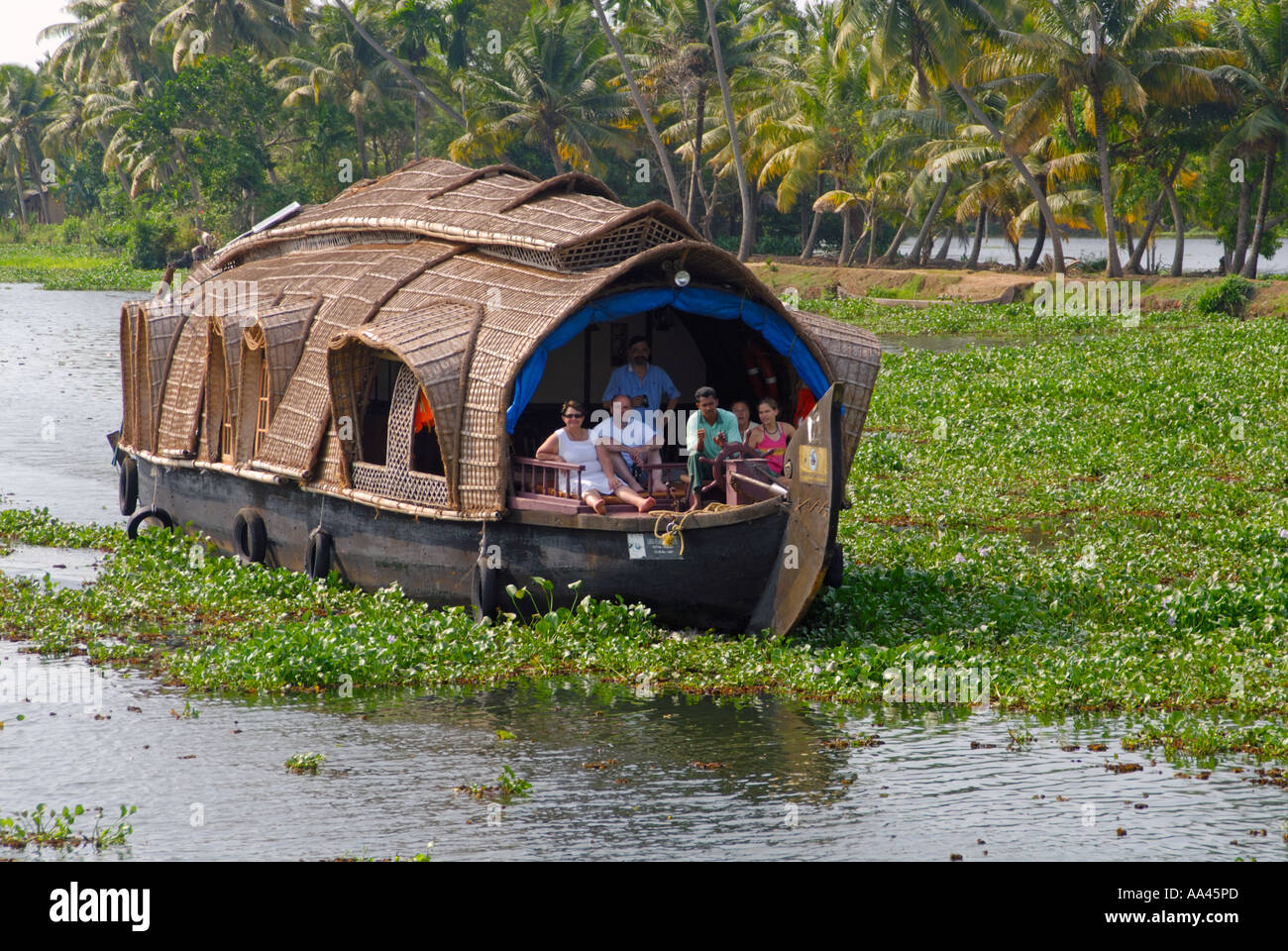 A Rice Boat ploughs through a mass of water hyacinth weed on the
