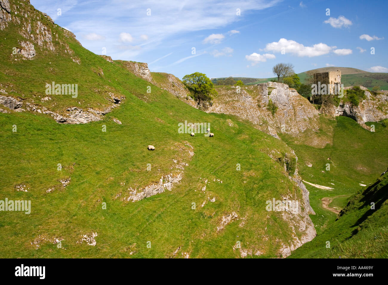 Peveril View View of the Keep at Peveril Castle above CaveDale at Castleton in the ...