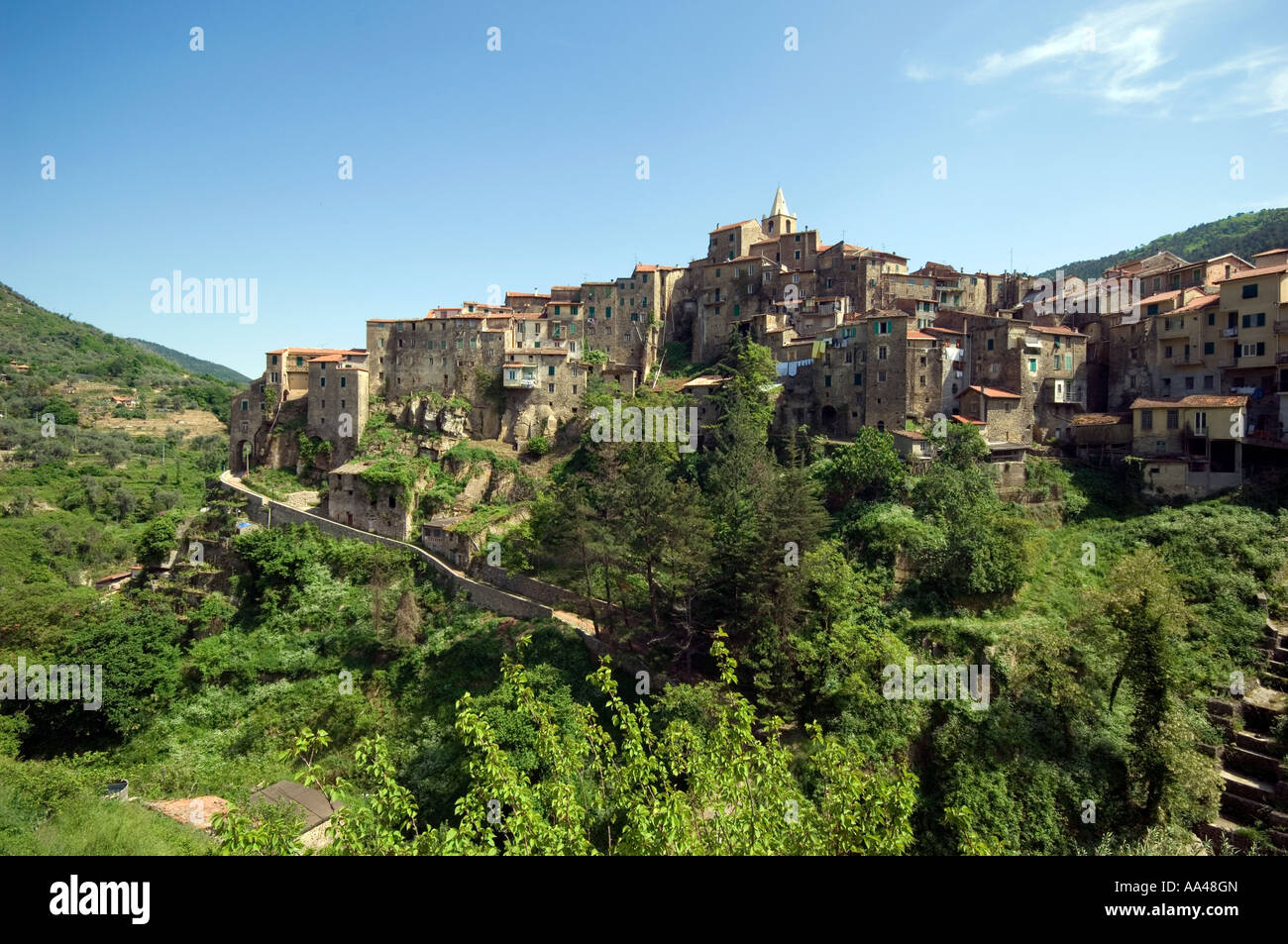 Ceriana hi-res stock photography and images - Alamy