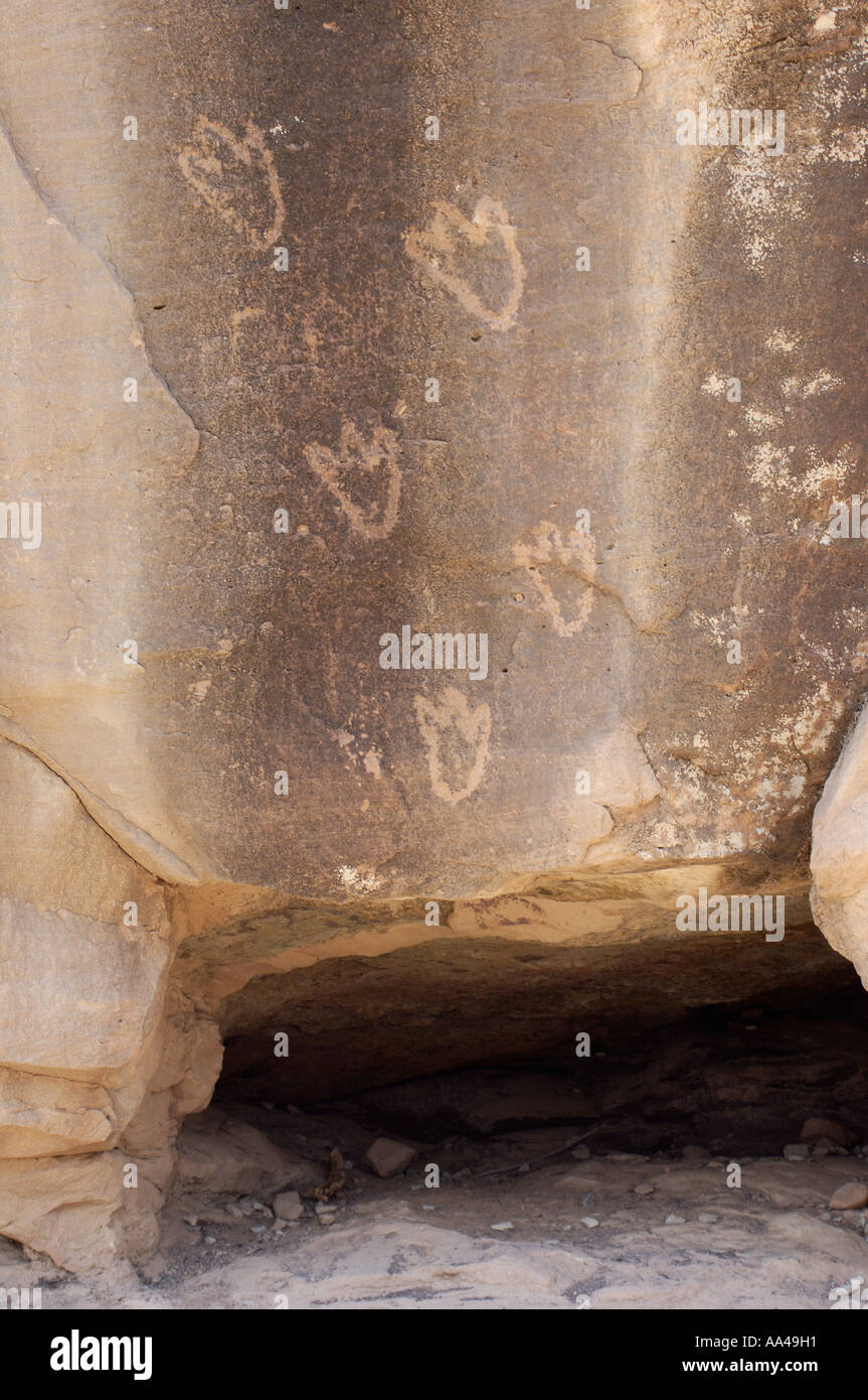 Bear paw petroglyphs of prehistoric Native Americans in Canyon de