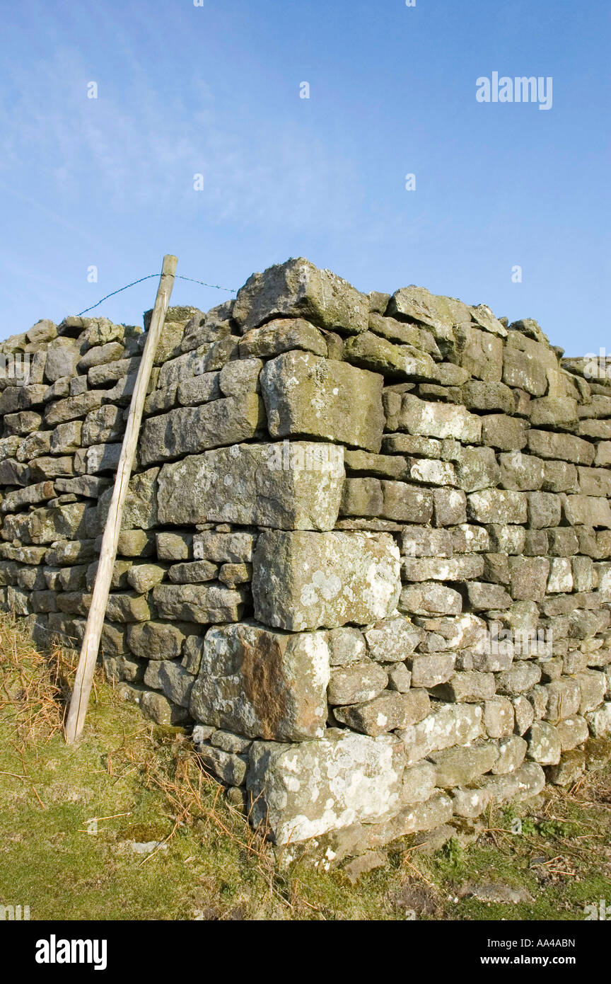 Boundary wall near Pen Hill North Yorkshire Stock Photo