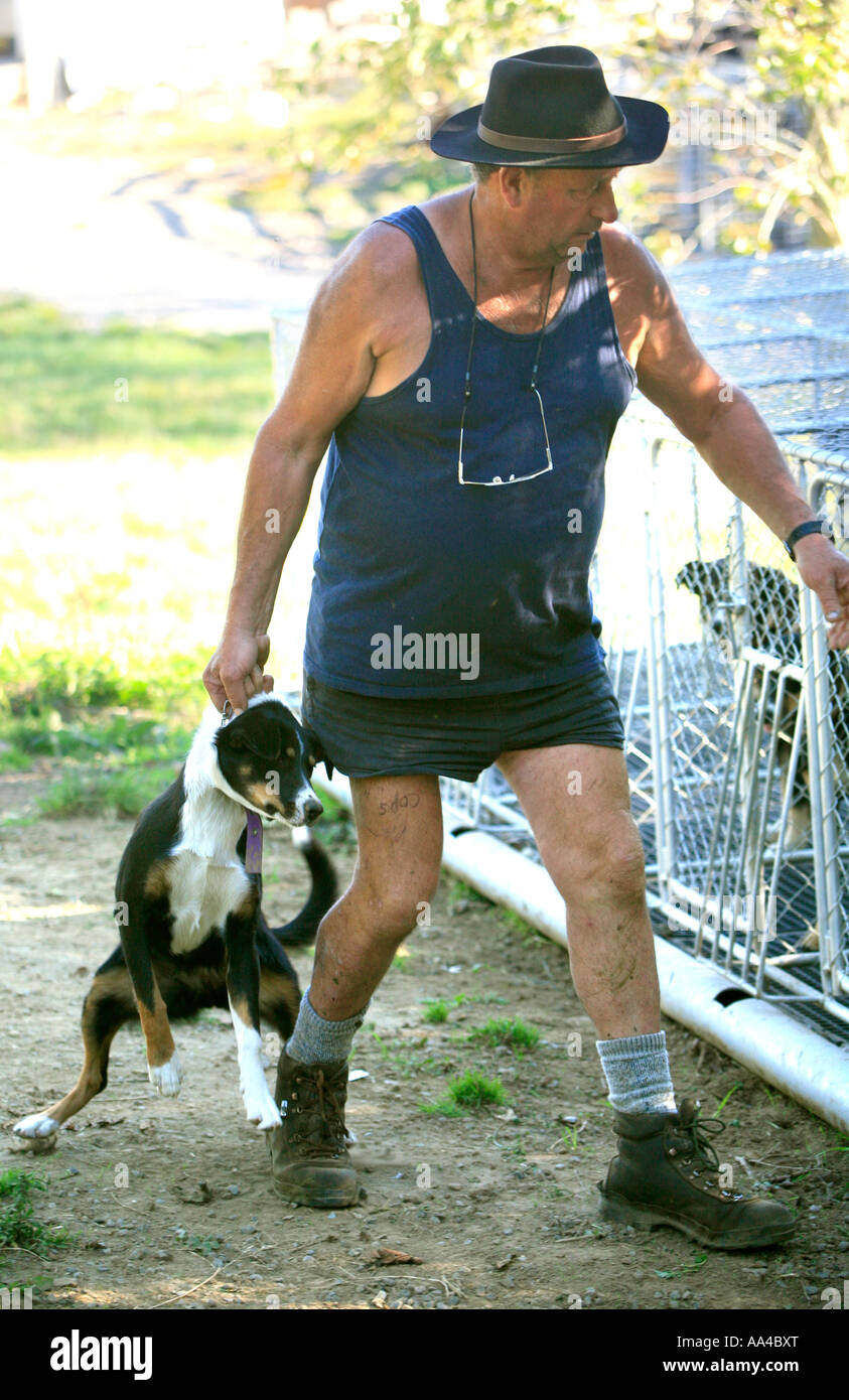 A Kiwi farmer puts one of his dogs away in its kennel for the night Stock Photo
