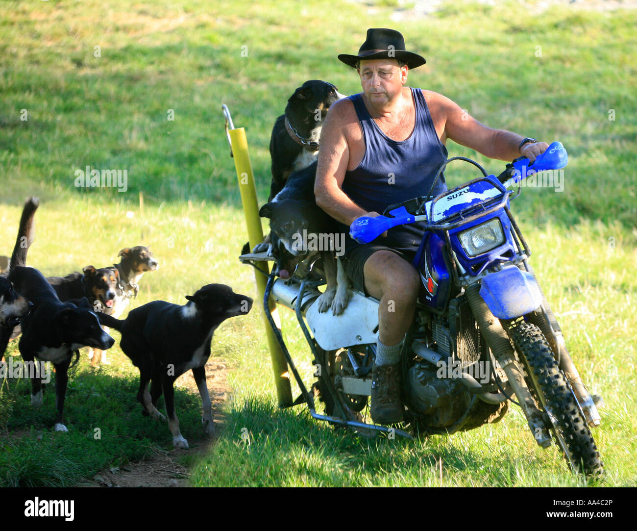 Taranaki farmer with some of his dogs and his bike Stock Photo