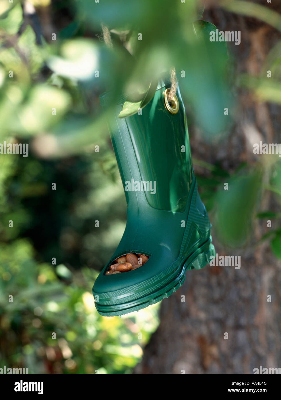 Close Up Of Novelty Small Green Wellington Boot Bird Feeder Stock