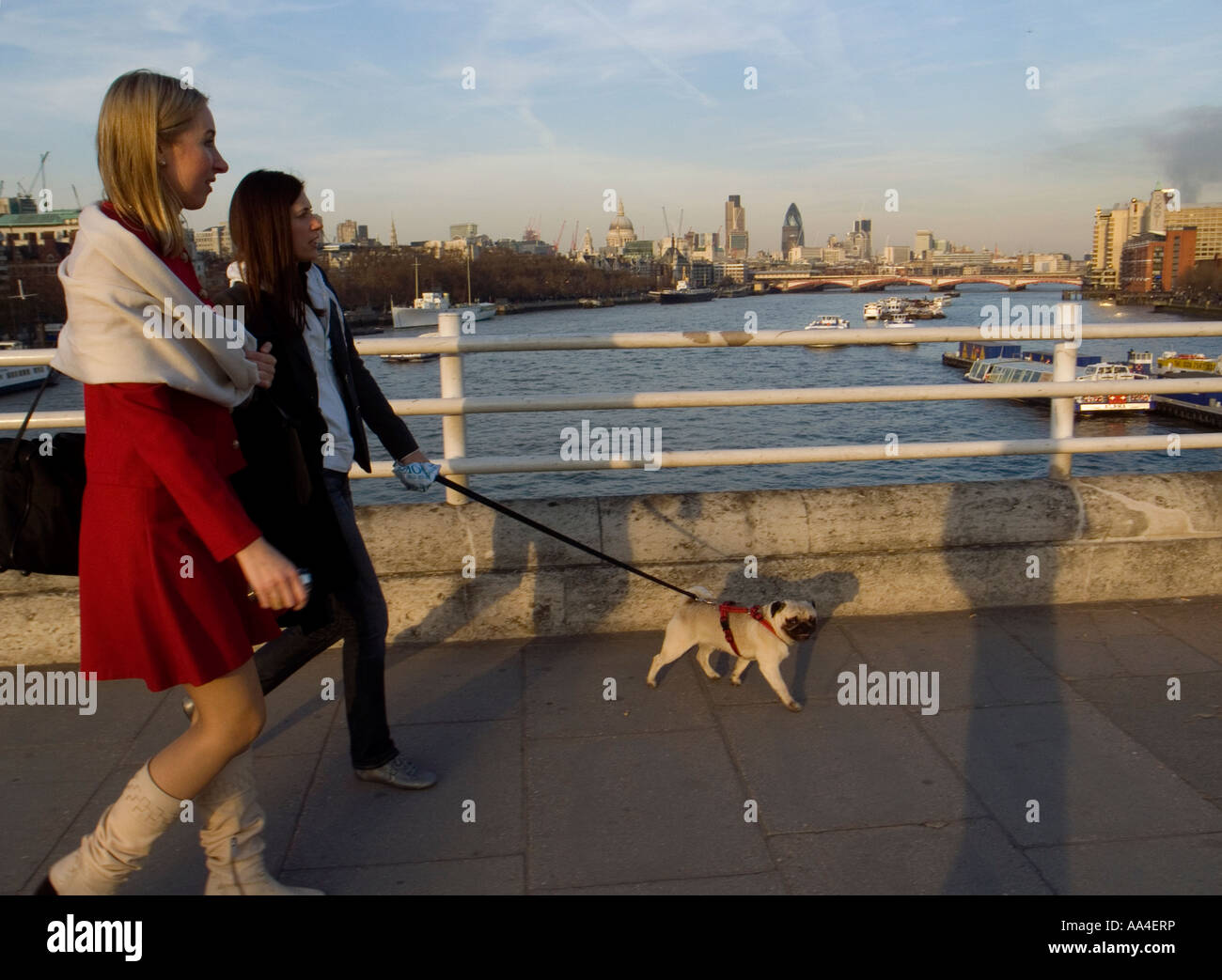 Women with dog hi-res stock photography and images - Alamy