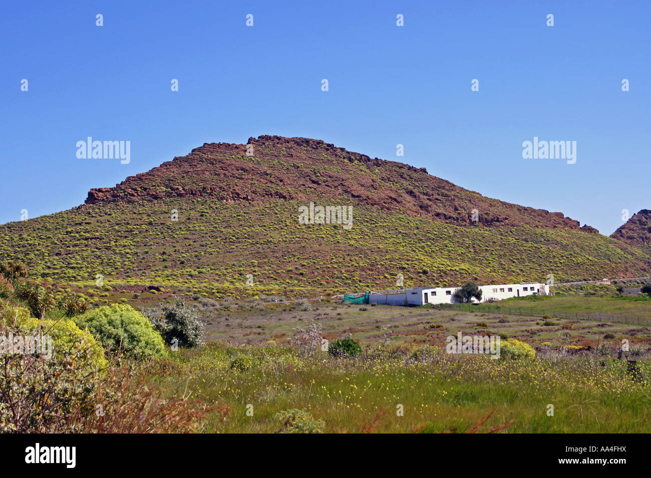 MIRADOR EL GURIETE. THE BARRANCO de TIRAJANA. GRAN CANARIA. CANARY ISLANDS. EUROPE. Stock Photo