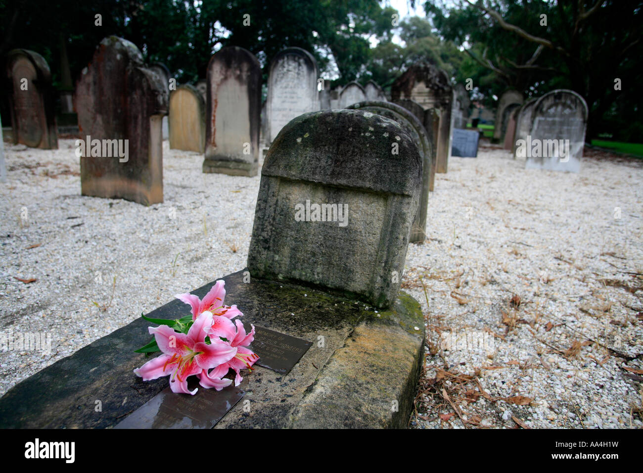Childs death hires stock photography and images Alamy