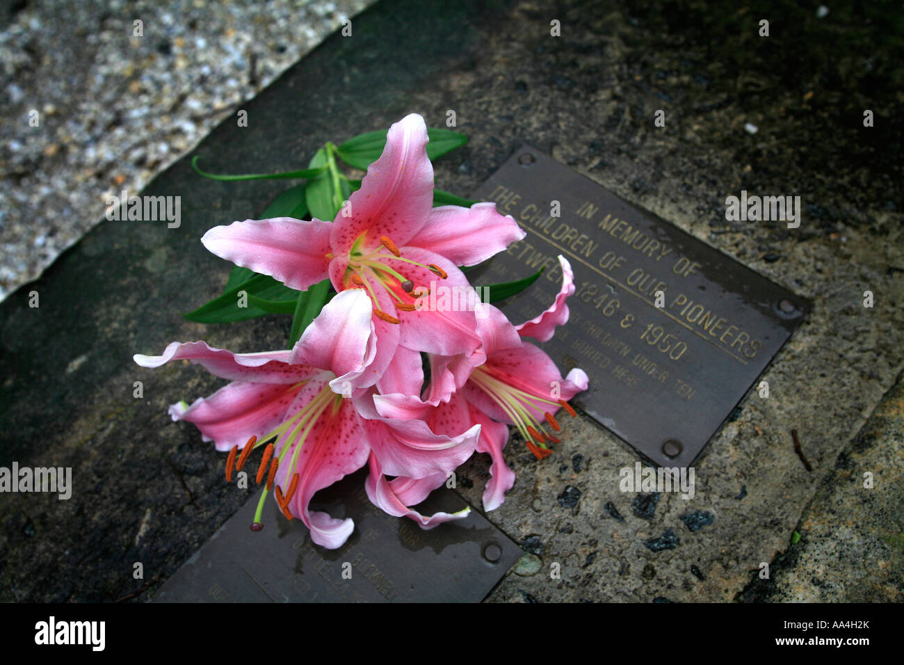 A child's grave with flowers Stock Photo Alamy