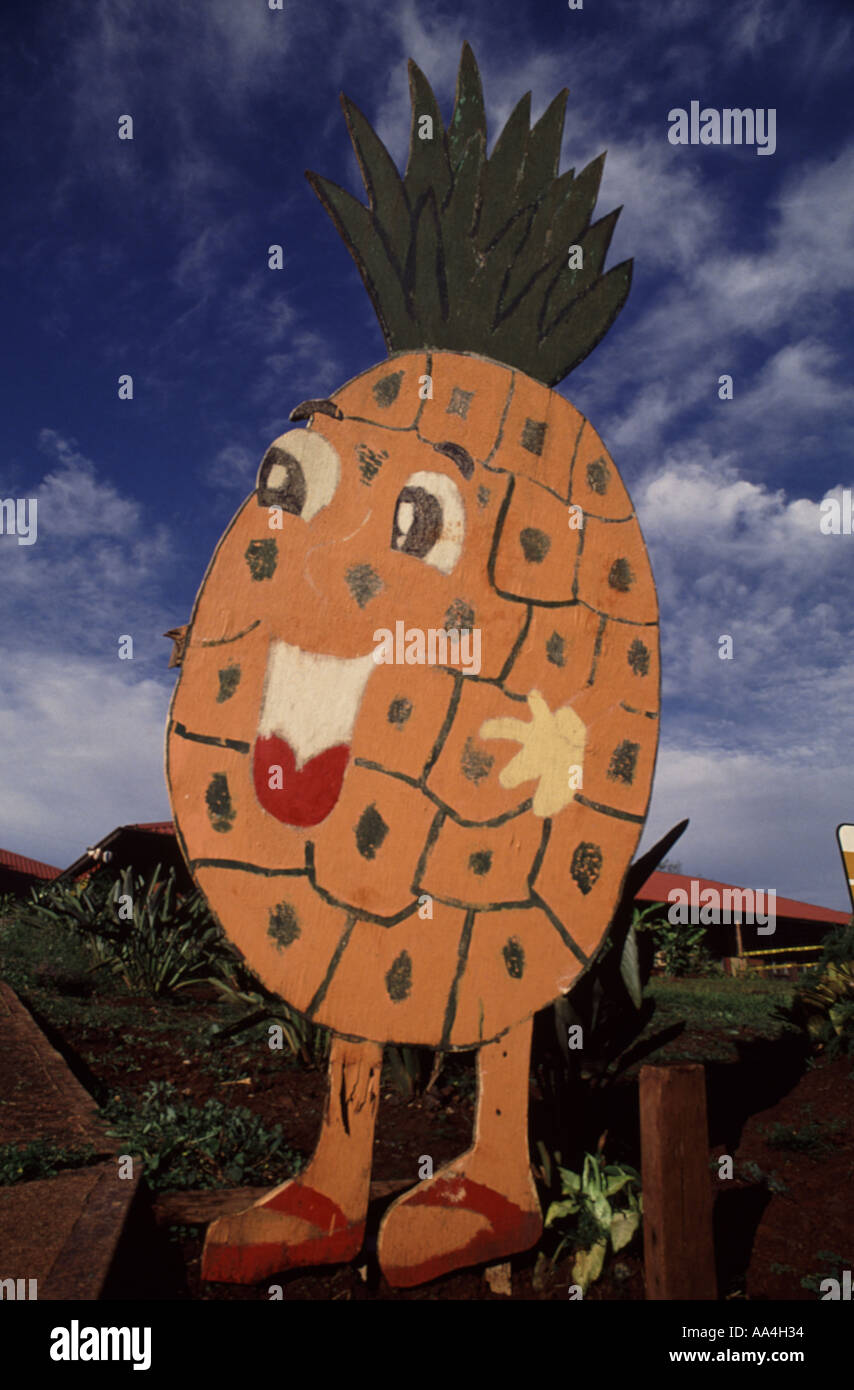 Hawaii pineapple farm Stock Photo Alamy