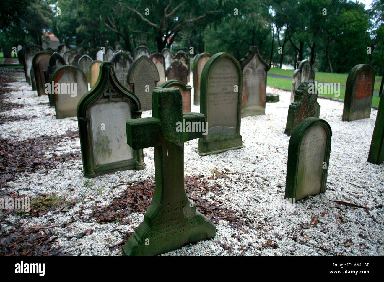 Early settlers graveyard at Crows Nest Sydney Australia Stock Photo Alamy