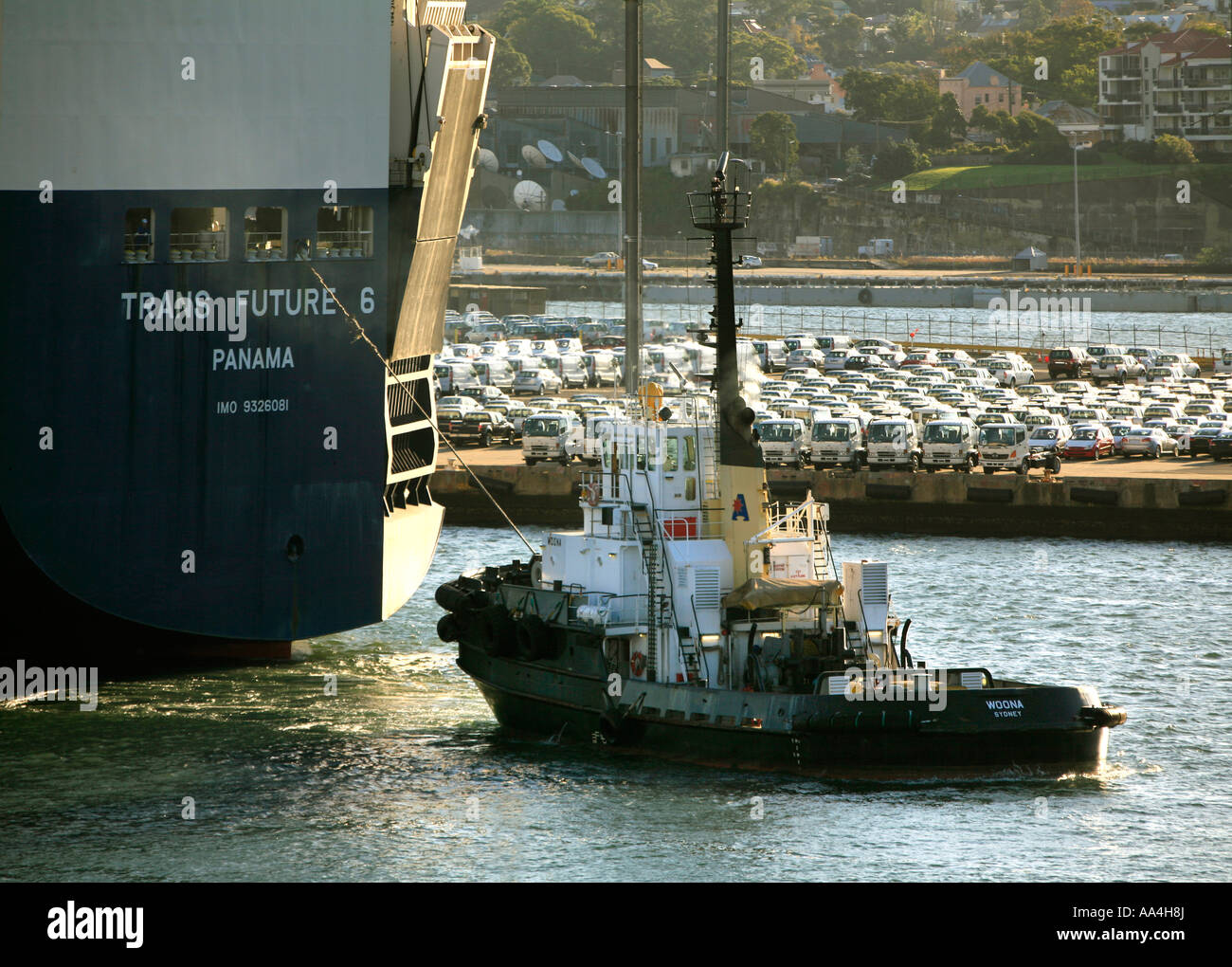 The Tug Adsteam Woona uses full power to pull the vehicle carrier Trans Future 6 as she readies for departure on Sydney Harbour Stock Photo