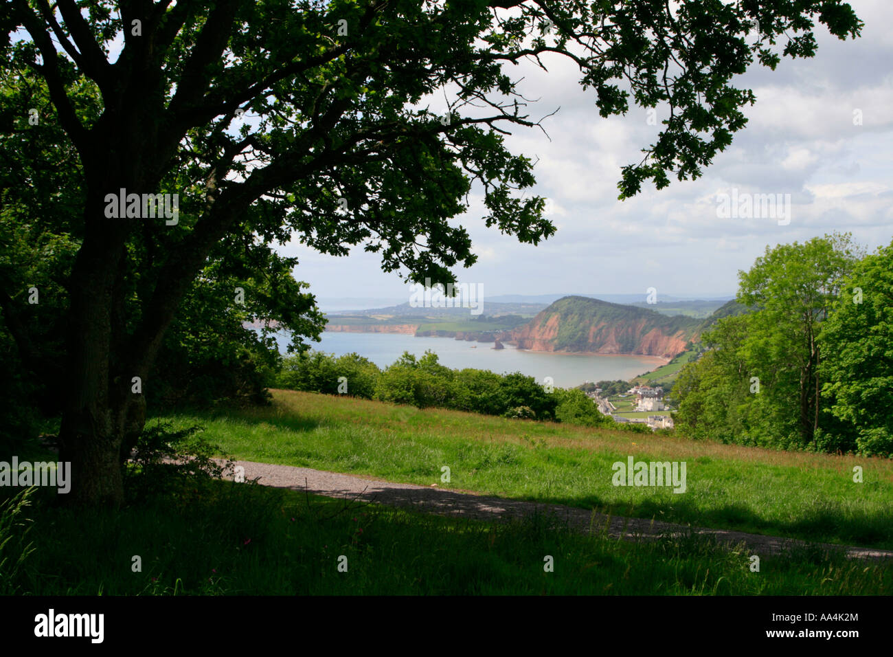sidmouth from hill south devon england uk gb europe Stock Photo Alamy