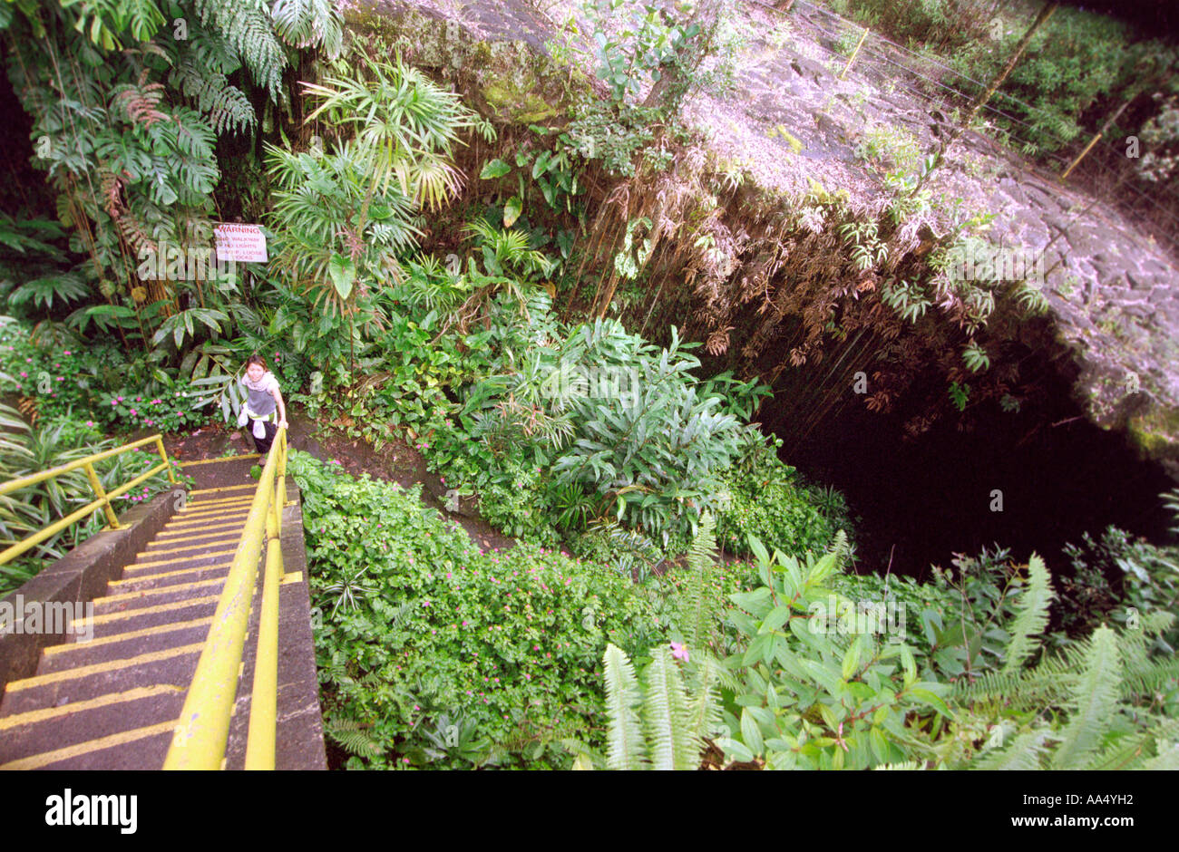 Hawaii, Big island, caves, nature, jungles, Kaumana cave, trails, hikes, hiking, girls, islands, nature, wild, adventure, Stock Photo