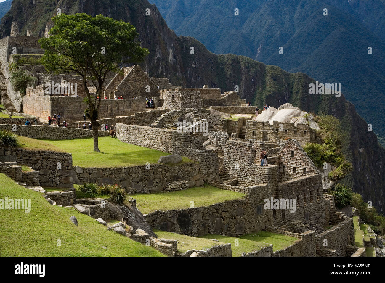 Macchu Pichu ruins,  Peru Stock Photo